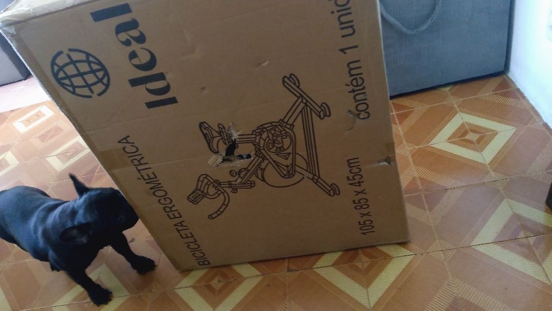 Foto da avaliação