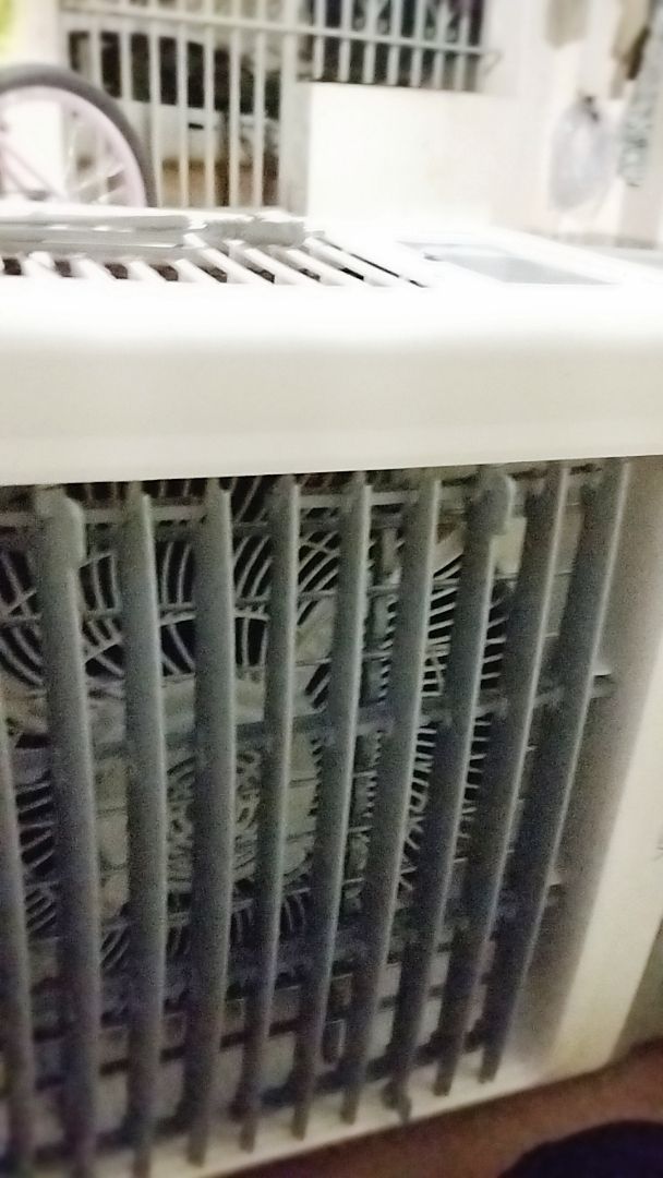 Foto da avaliação