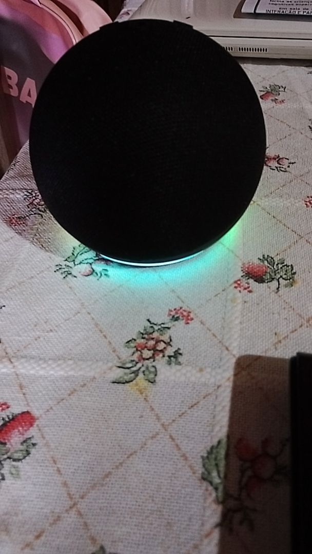 Foto da avaliação